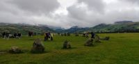270 Lake District, Steinkreis von Castelrigg