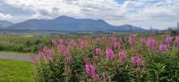 312 Highlands, Aussicht beim Commando Memorial, Blick zum Ben Nevis (1345 m)