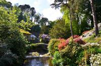 224 Bodnant Garden