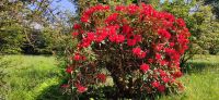 224 Inveraray Castle & Garden