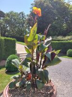 20240731 Blenheim Palace 12 Garden 03