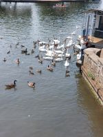 20240801 Stratford 08