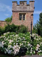20240802 Arley Arboretum 01