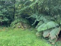 Südengland, Lost Gardens of Heligan, Giants Head