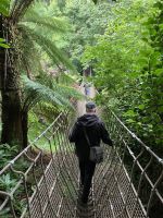 Südengland, Lost Gardens of Heligan, Busfahrer Jörg mutig auf der Hängebrücke