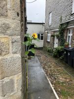 Südengland, Mevagissey