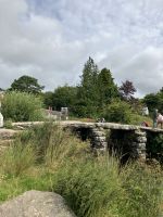 Südengland, Dartmoor Impresionen