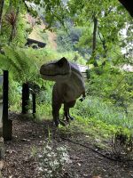 Südengland, Isle of Wight, Shanklin Chine