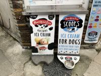 Südengland, Tintangel - Eis für Alle