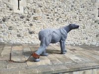 der Eisbär im Tower 