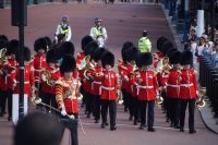 Bärenfell im August
