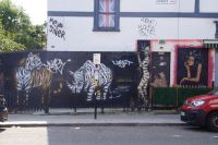 Tiger, Zebra und Mensch - und auch nicht