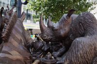 Nashorn, Gorilla und Zebra