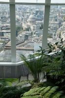 St. Paul's Cathedral 