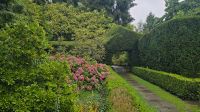 Arley Arboretum & Gardens