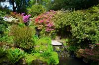 227 Bodnant Garden