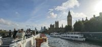 Westminster vom Schiff aus 