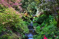 228 Bodnant Garden