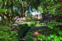 229 Bodnant Garden