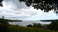 231 Cornwall, Trebah Garden