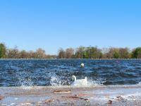 London. Kensington Garden 