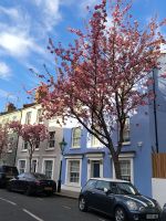 London. Kensington Neighborhoud 