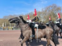 London. Change Guard