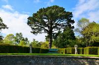 233 Bodnant Garden