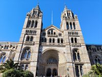 London. National History Museum 