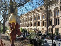 London. National History Museum 