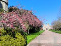 Frühling in Windsor 