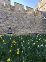 Frühling im Windsor Castle 
