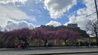 Princes Street mit Blick zum Castle