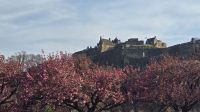 Spaziergang durch die Princes Street mit Blick zum Castle
