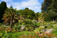234 Bodnant Garden
