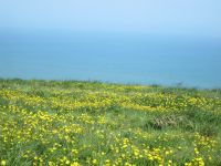 bei Beachy Head