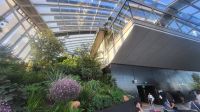 135 - London, Sky Garden