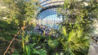 137 - London, Sky Garden