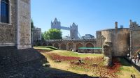 066 - Tower of London