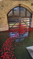 083 - Tower of London