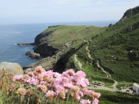 Tintagel