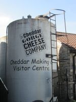 Cheddar Käserei
