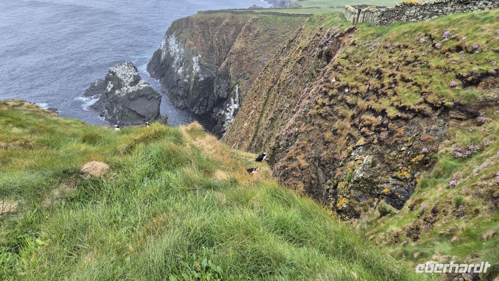 Sumburgh Head