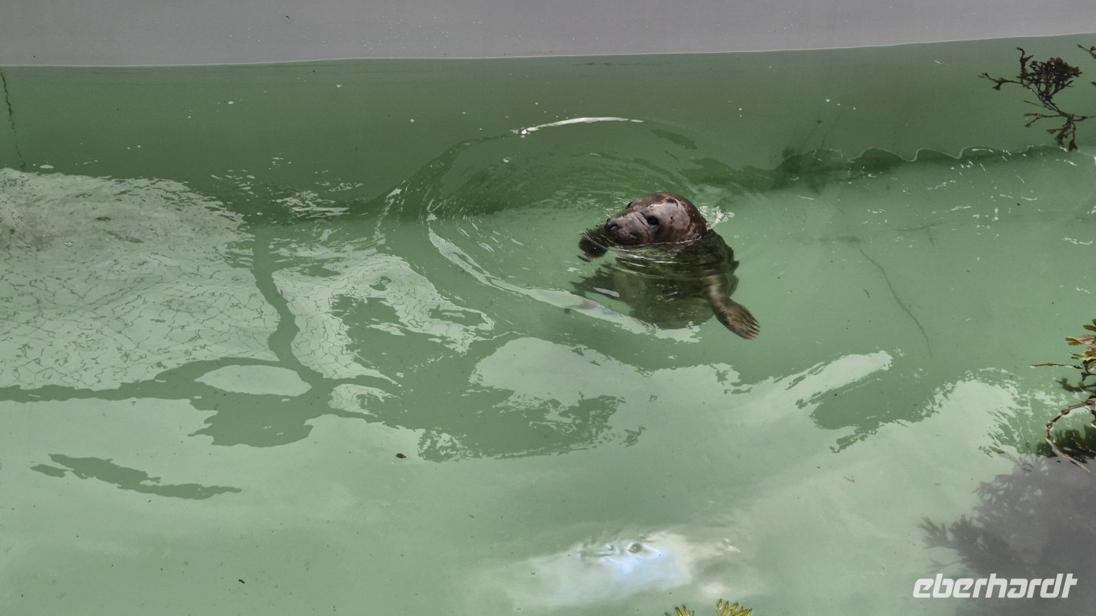 Hillswick Wildlife Sanctuary