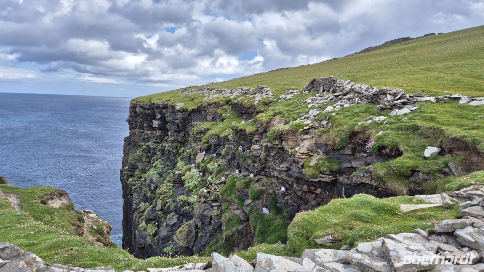 Noss National Nature Reserve