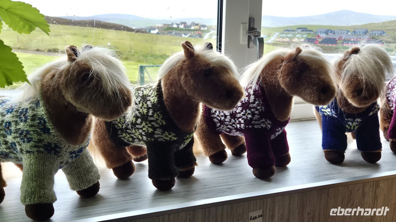 Shetland Ponies in der Lerwick Brewery