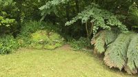 Lost Gardens of Heligan - the Giant