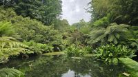 Lost Gardens of Heligan