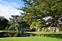 237 Bodnant Garden
