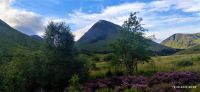 237 Glen Coe
